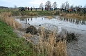 IMG_7127__Resize