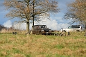 IMG_7286__Resize