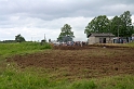 IMG_2784_Resize