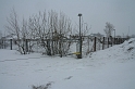IMG_4490__Resize