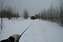 IMG_4521__Resize