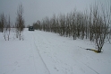 IMG_4523__Resize