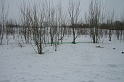 IMG_4525__Resize