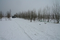 IMG_4526__Resize