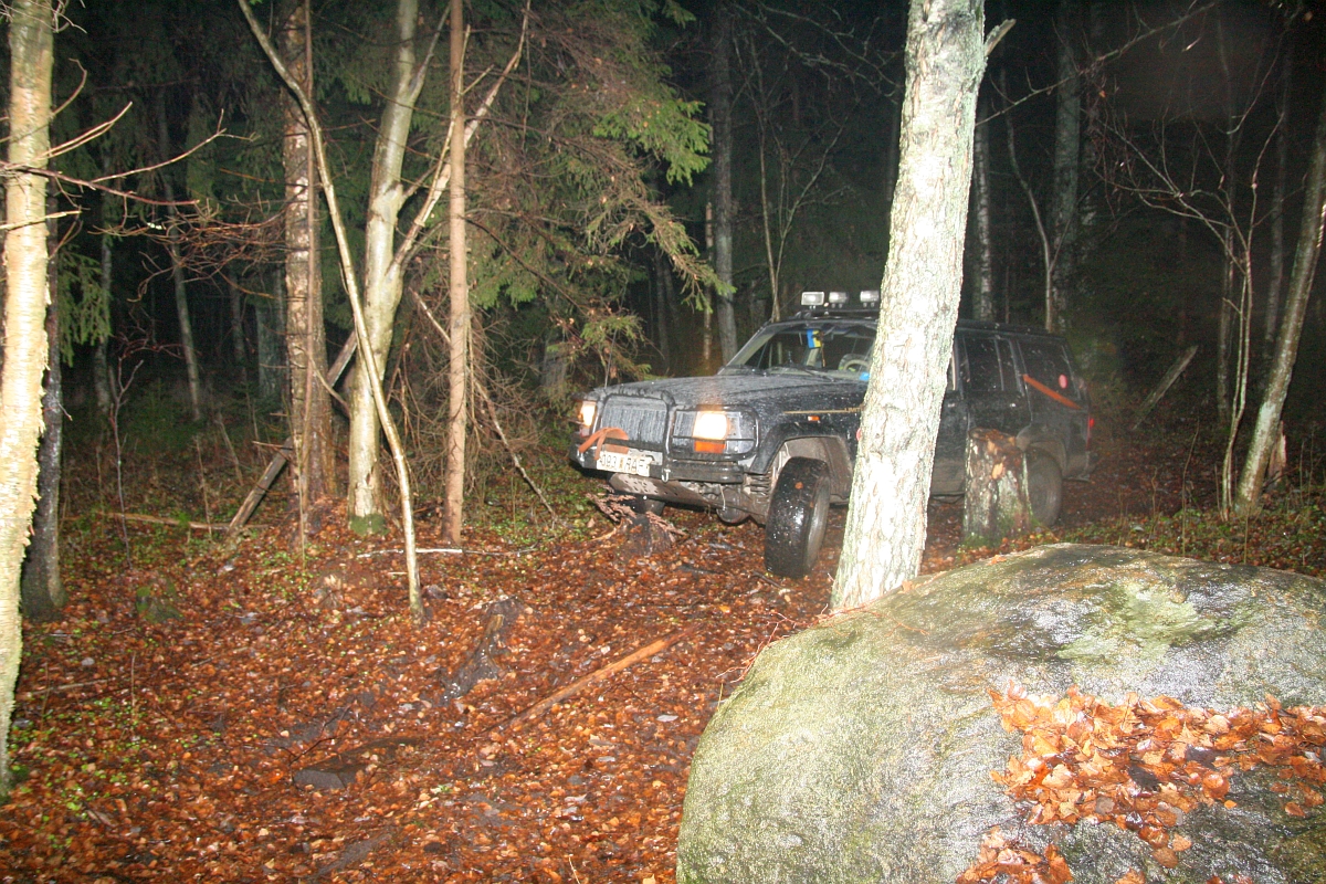 Размещенное изображение