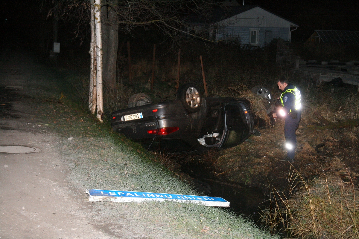 Размещенное изображение